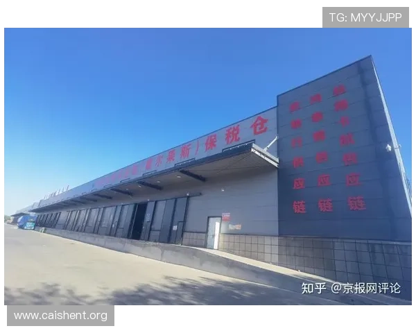 全面解析众鑫国际物流的优势与发展前景